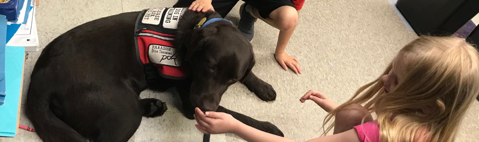 FCS Therapy dog 'Leon' being pet by Smith Elementary students.